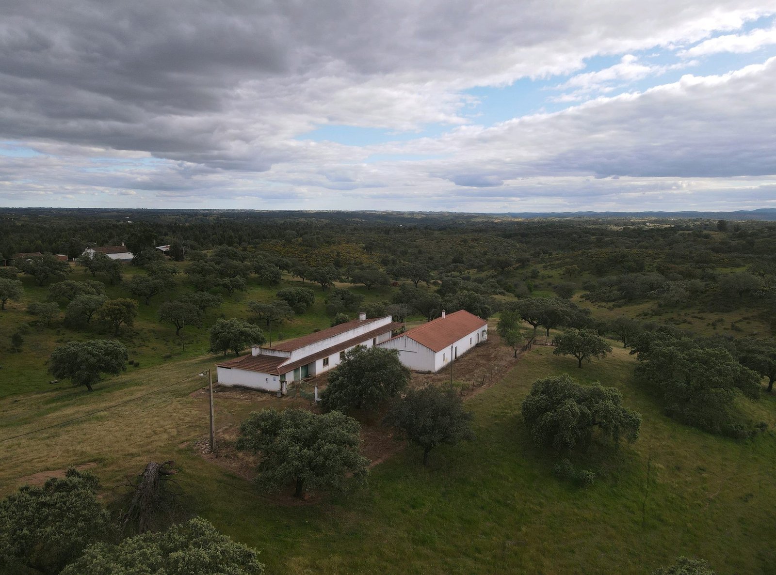 Montes da Bezerra Doida